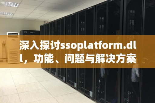 深入探讨ssoplatform.dll，功能、问题与解决方案