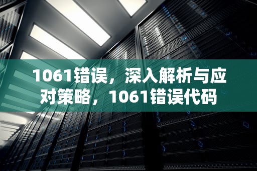 1061错误，深入解析与应对策略，1061错误代码