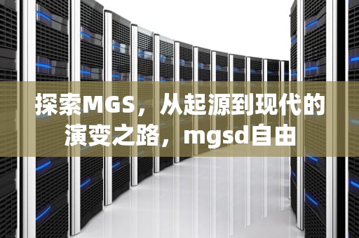 探索MGS，从起源到现代的演变之路，mgsd自由
