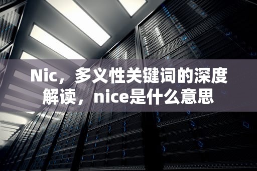 Nic，多义性关键词的深度解读，nice是什么意思