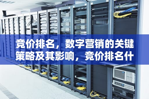 竞价排名，数字营销的关键策略及其影响，竞价排名什么意思