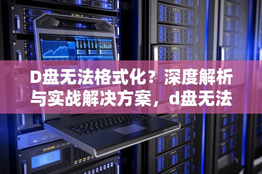 D盘无法格式化？深度解析与实战解决方案，d盘无法格式化,说另一个正在使用