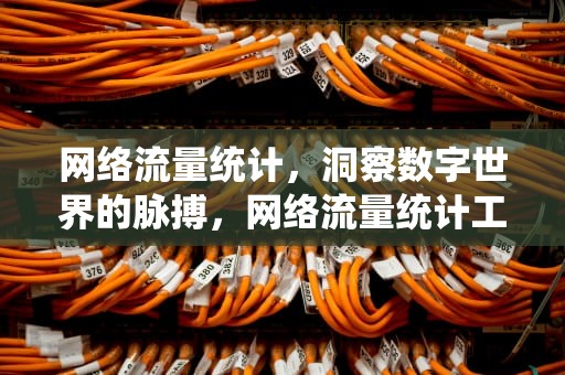 网络流量统计，洞察数字世界的脉搏，网络流量统计工具
