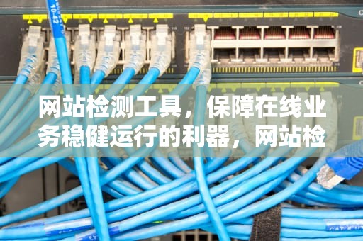 网站检测工具，保障在线业务稳健运行的利器，网站检测工具有哪些