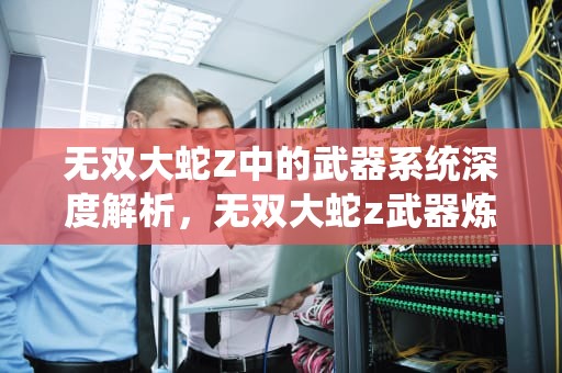 无双大蛇Z中的武器系统深度解析，无双大蛇z武器炼成能力