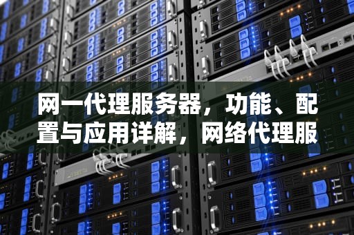 网一代理服务器，功能、配置与应用详解，网络代理服务器