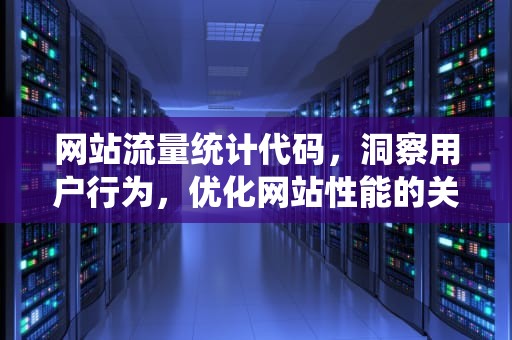网站流量统计代码，洞察用户行为，优化网站性能的关键工具，网站流量统计代码查询