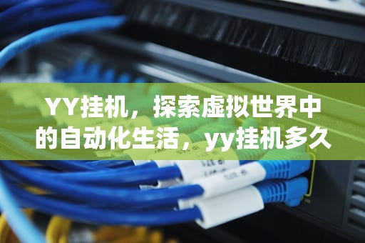 YY挂机，探索虚拟世界中的自动化生活，yy挂机多久显示离开