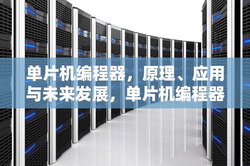 单片机编程器，原理、应用与未来发展，单片机编程器哪种好
