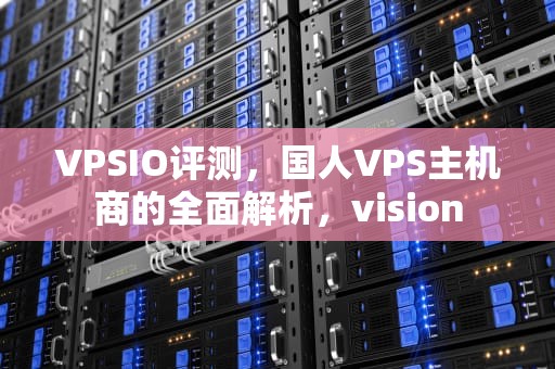 VPSIO评测，国人VPS主机商的全面解析，vision