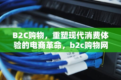 B2C购物，重塑现代消费体验的电商革命，b2c购物网站有哪些