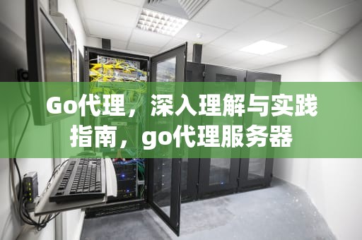 Go代理，深入理解与实践指南，go代理服务器
