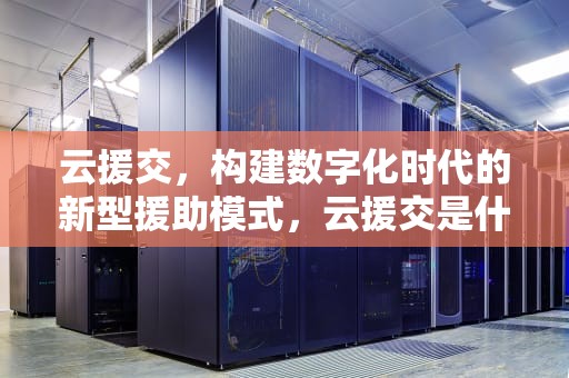 云援交，构建数字化时代的新型援助模式，云援交是什么