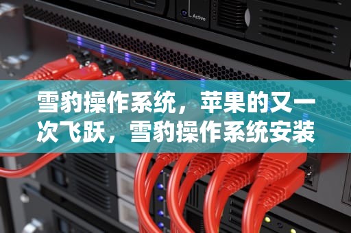 雪豹操作系统，苹果的又一次飞跃，雪豹操作系统安装教程