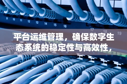 平台运维管理，确保数字生态系统的稳定性与高效性，平台运维管理制度