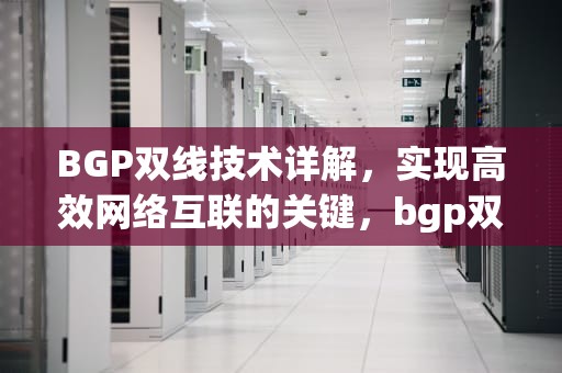 BGP双线技术详解，实现高效网络互联的关键，bgp双线路主备实验