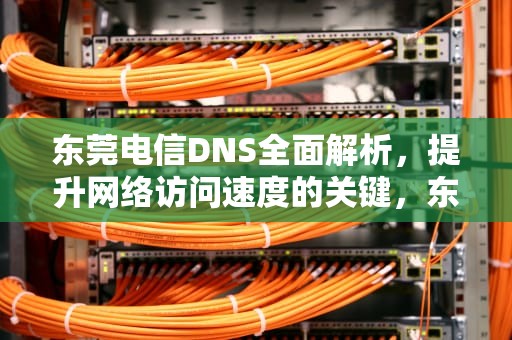 东莞电信DNS全面解析，提升网络访问速度的关键，东莞电信dns首选和备用填多少