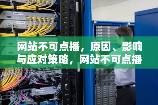 网站不可点播，原因、影响与应对策略，网站不可点播什么意思
