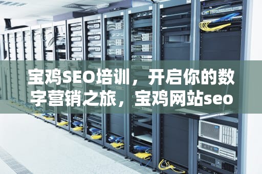 宝鸡SEO培训，开启你的数字营销之旅，宝鸡网站seo