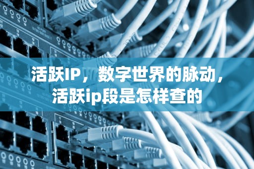 活跃IP，数字世界的脉动，活跃ip段是怎样查的