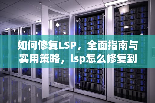 如何修复LSP，全面指南与实用策略，lsp怎么修复到初始状态