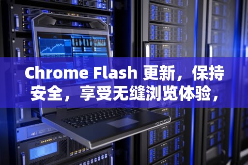 Chrome Flash 更新，保持安全，享受无缝浏览体验，chrome更新flash插件