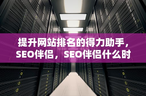 提升网站排名的得力助手，SEO伴侣，SEO伴侣什么时候出的