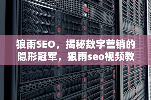 狼雨SEO，揭秘数字营销的隐形冠军，狼雨seo视频教程全集