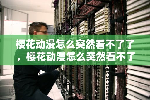 樱花动漫怎么突然看不了了，樱花动漫怎么突然看不了了呢