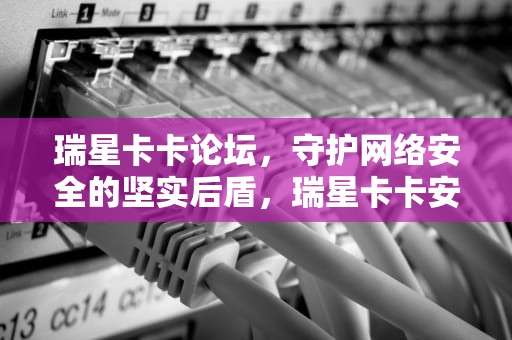 瑞星卡卡论坛，守护网络安全的坚实后盾，瑞星卡卡安全论坛bbs