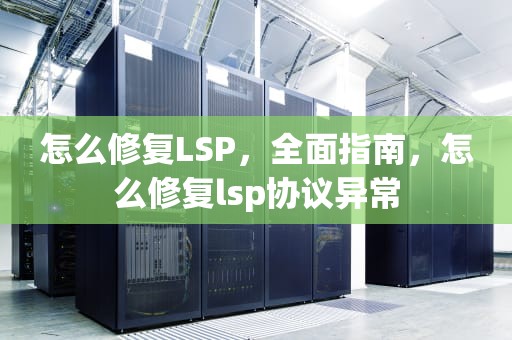 怎么修复LSP，全面指南，怎么修复lsp协议异常