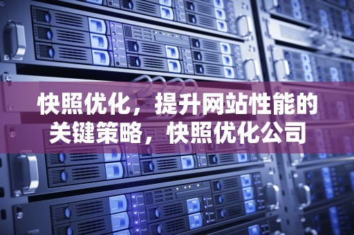 快照优化，提升网站性能的关键策略，快照优化公司