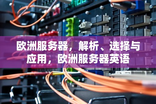 欧洲服务器，解析、选择与应用，欧洲服务器英语