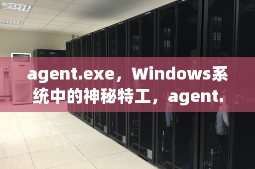 agent.exe，Windows系统中的神秘特工，agent.exe应用程序错误