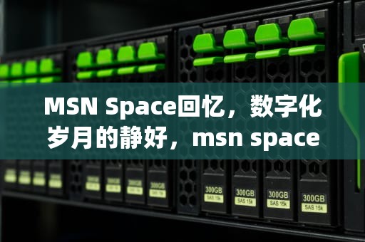MSN Space回忆，数字化岁月的静好，msn space空间找回