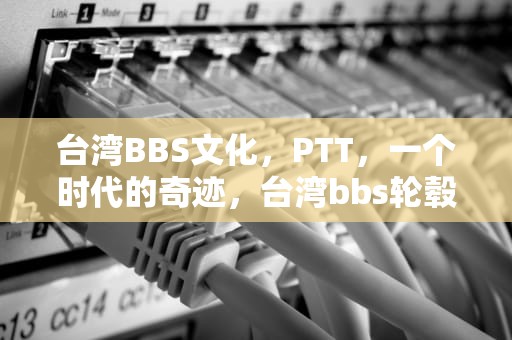 台湾BBS文化，PTT，一个时代的奇迹，台湾bbs轮毂