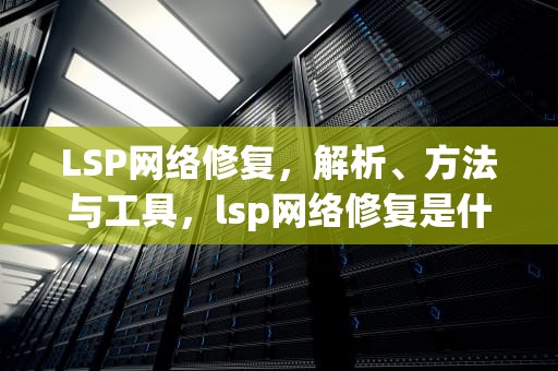 LSP网络修复，解析、方法与工具，lsp网络修复是什么