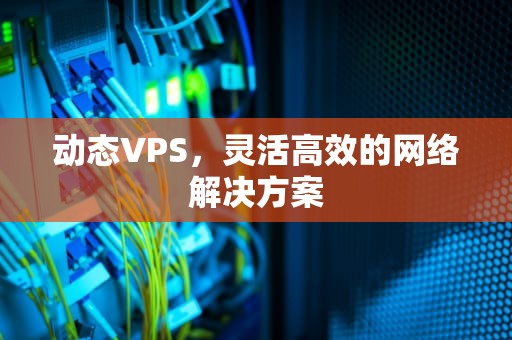 动态VPS，灵活高效的网络解决方案