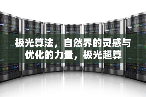 极光算法，自然界的灵感与优化的力量，极光超算