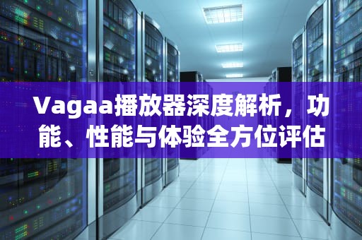 Vagaa播放器深度解析，功能、性能与体验全方位评估，avchd用什么播放器
