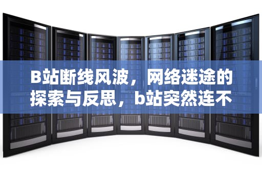 B站断线风波，网络迷途的探索与反思，b站突然连不上网络怎么回事