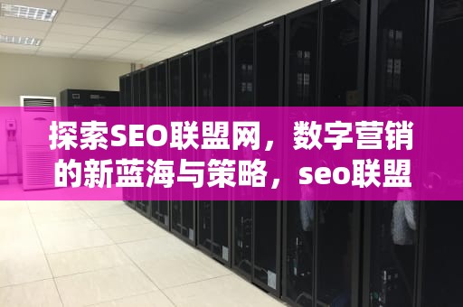 探索SEO联盟网，数字营销的新蓝海与策略，seo联盟怎么赚钱