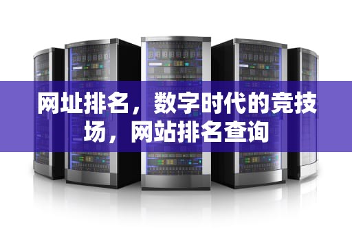 网址排名，数字时代的竞技场，网站排名查询