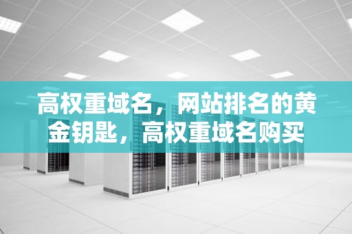 高权重域名，网站排名的黄金钥匙，高权重域名购买