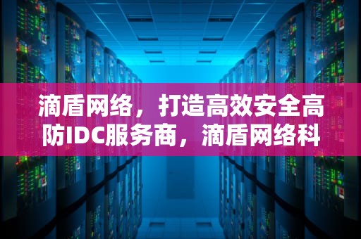 滴盾网络，打造高效安全高防IDC服务商，滴盾网络科技公司