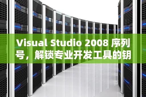 Visual Studio 2008 序列号，解锁专业开发工具的钥匙，VS2008序列号