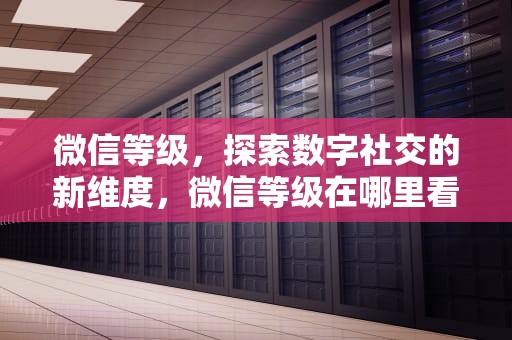 微信等级，探索数字社交的新维度，微信等级在哪里看