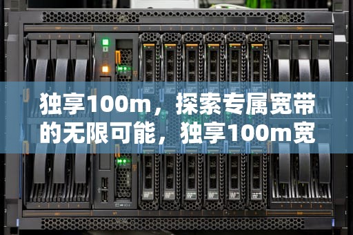 独享100m，探索专属宽带的无限可能，独享100m宽带