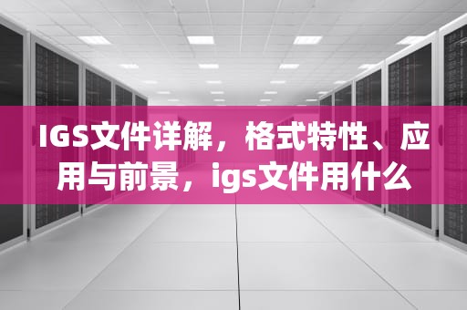 IGS文件详解，格式特性、应用与前景，igs文件用什么打开
