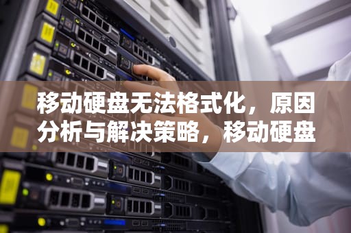 移动硬盘无法格式化，原因分析与解决策略，移动硬盘无法格式化解决办法